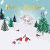 Belly Button Designs - From all of Us Christmas Card