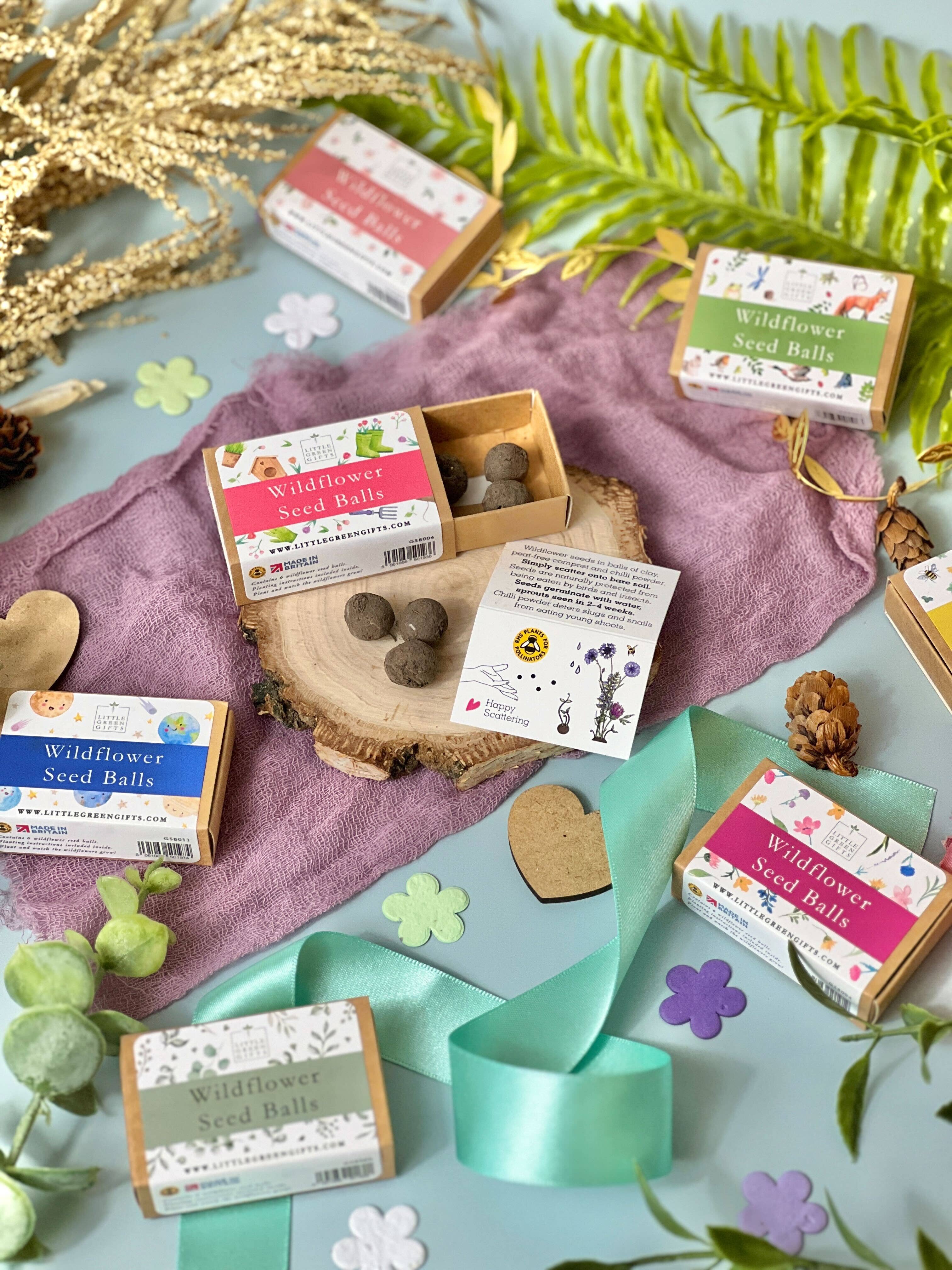 Little Green Gifts - Seed Balls - Choice Of Designs (TU-12): 003 - Blushing Blooms - More Than Just a Gift | Narborough Hall