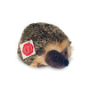 Harry Hedgehog