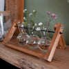 Propagation Vases