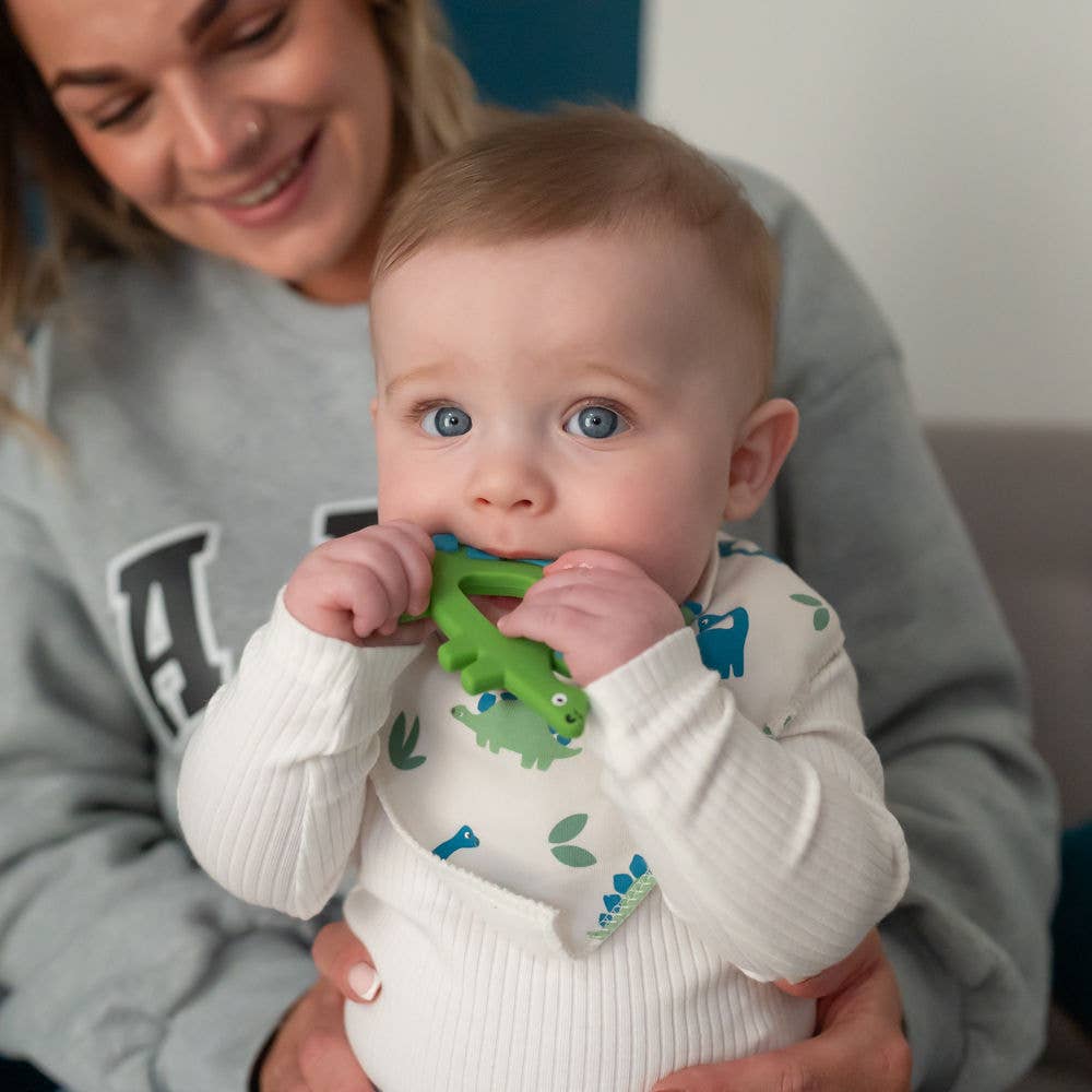 Ziggle Baby - Dinosaur Teether Silicone