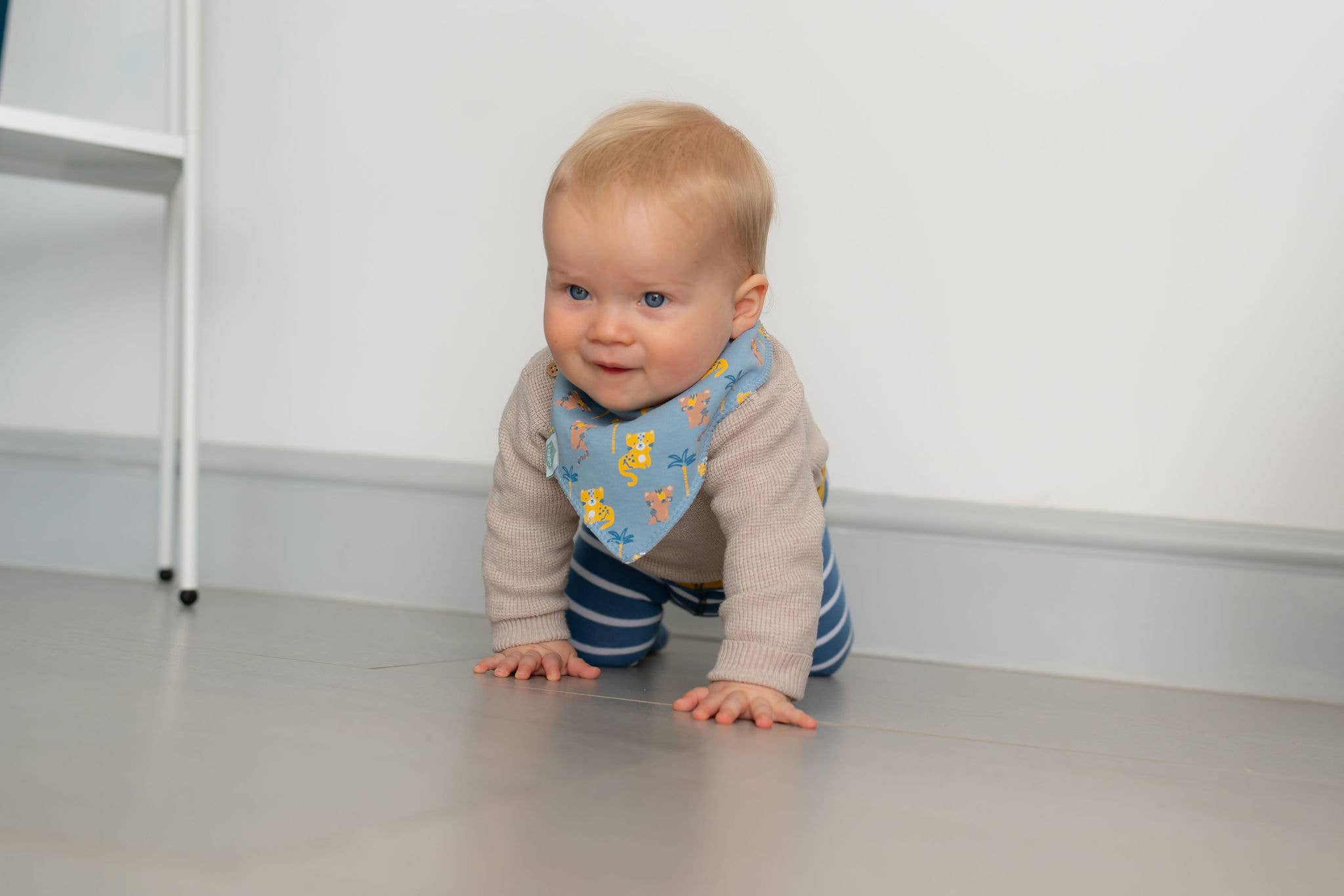 Ziggle Baby - Savanna Animals Bib Set: Set