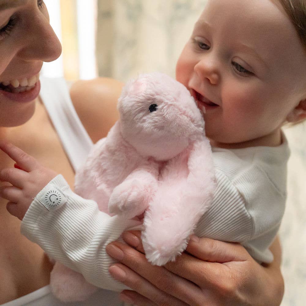 Ziggle Baby - Pink Bunny Plush Toy