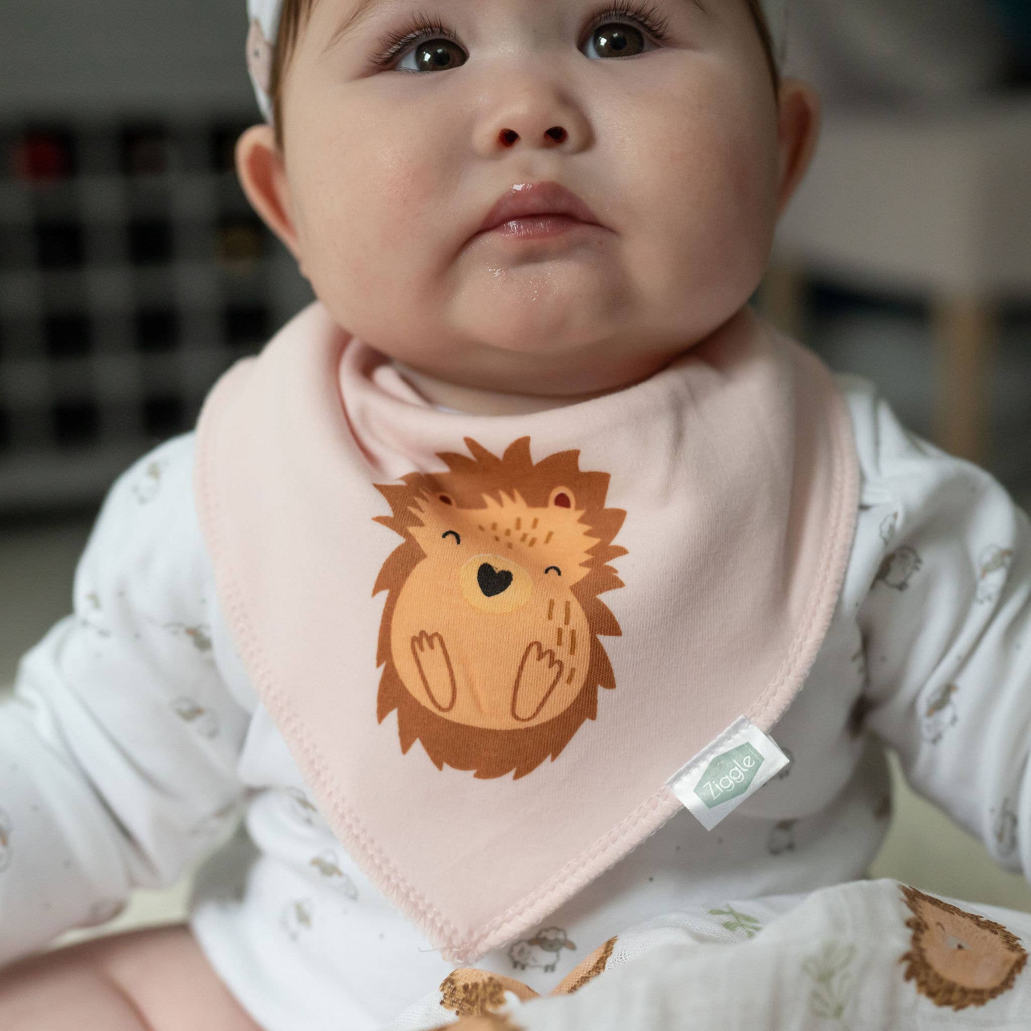 Ziggle Baby - Hedgehog bib