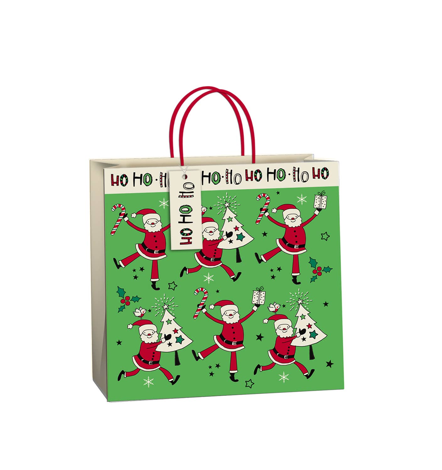 The Unique Paper Company - Eco-friendly Elf Christmas FSC™ certified Gift Bags: Medium