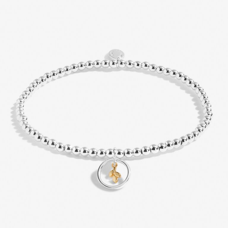 Joma Jewellery Beautifully Boxed A Little 'Family Is A Gift To Always Treasure' Bracelet