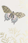 Luna Butterfly Card