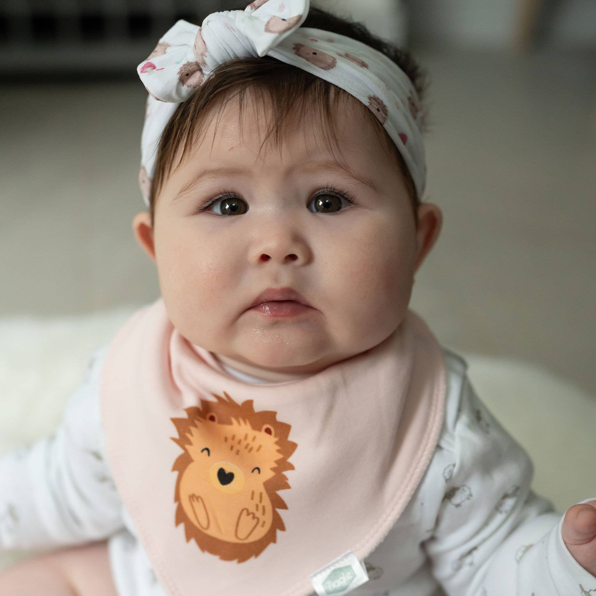 Ziggle Baby - Hedgehog bib