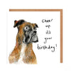 Catherine Rayner - Cooper the Grumpy Boxer Birthday Card