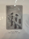 Five Dollar Shake - Robins Appear When Angels are near Christmas Card