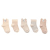 Bambino Unisex Socks Bear Gift Pack