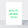 Quip Dogs and Cats on the Internet Card