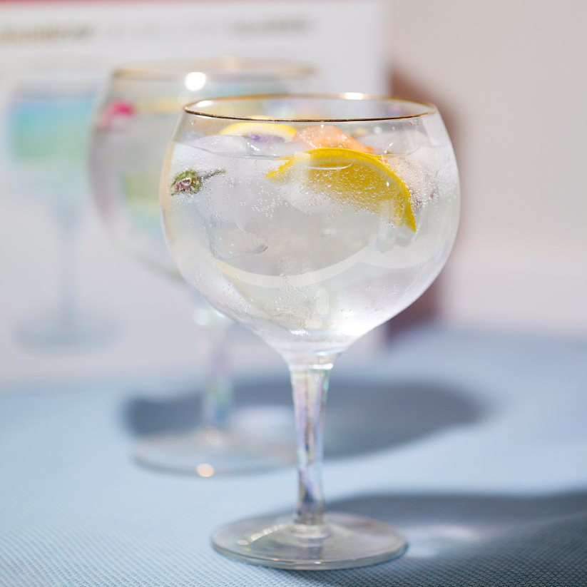 Drinkind Iridescent Gin Balloon Glasses Set of Two Boxed