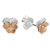 Iris & Miel Sterling Silver Violet Stud Earrings