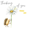 Thinking Of You – Hedgehog & Daisy Card