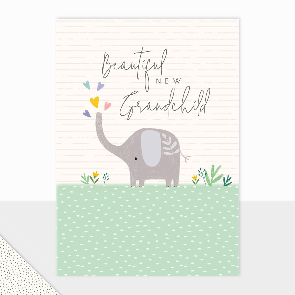 Halcyon Beautiful New Grandchild Card