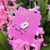 Lucky Feather - Charm Garden - LOVE - Love Letter