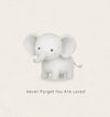 Petimo Pencil Pals - Never Forget You are Loved Elephant Card - More Than Just a Gift | Narborough Hall