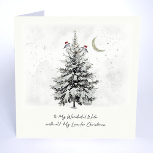Five Dollar Shake To My Wonderful Wife With All My Love For Christmas (Robins) Christmas Card