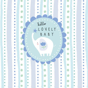 Belly Button Mabel Hello Lovely Baby (Blue) Card - More Than Just a Gift | Narborough Hall