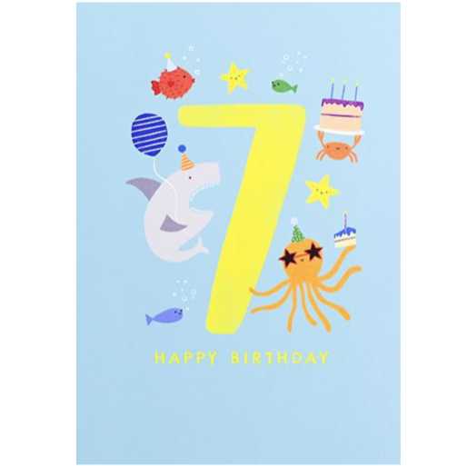 First Chapter Boy Age 7 Happy Birthday Card
