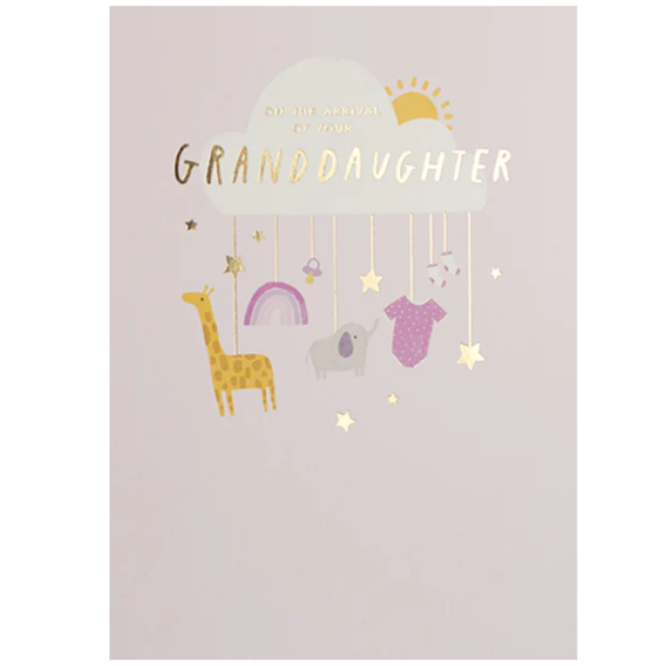 First Chapter New Granddaughter Arrival Card