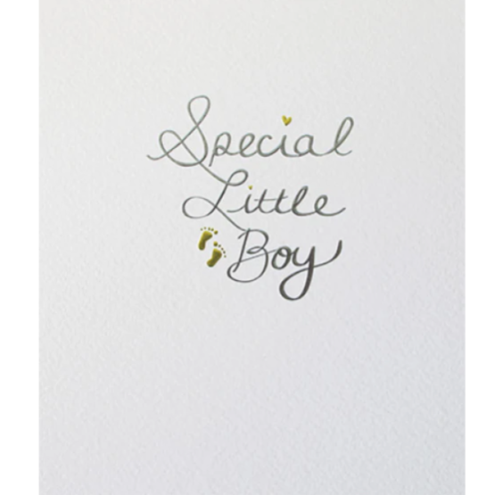 Mimosa - Special Little Boy Card