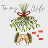 To My Wife With Lots Of Love - Hedgehogs Holding Hands Under Mistletoe Card