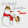 Wonderful Grandson Merry Christmas - Snowman Holding A Hedgehog Card