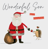 Wonderful Son Merry Christmas - Santa With Hedgehog Card