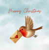 Write Christmas Robin in Flight Card