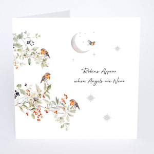 Five Dollar Shake Robins Appear When Angels Are Near Christmas Card – XMS12