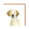 Catherine Rayner - Fenton Golden Retriever Card