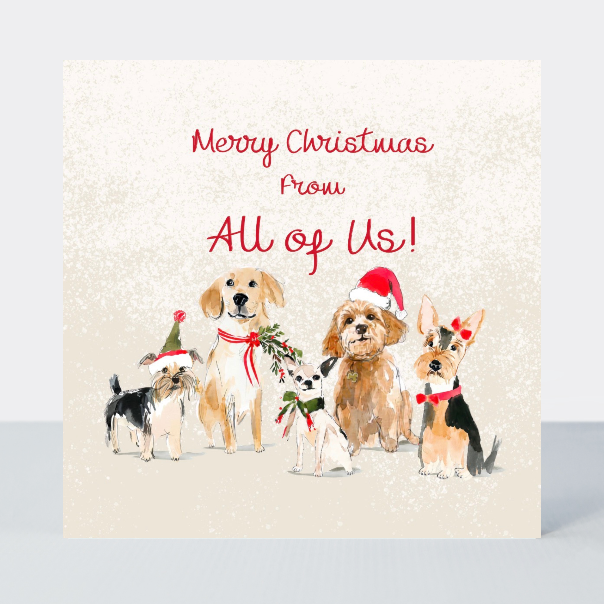 Petimo - From All of Us Merry Tails Cute Dogs Christmas Card