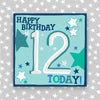 Molly Mae Ltd - Boy Aged 12 Birthday Card