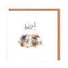 Catherine Rayner - Ruby Guinea Pig Hello Card