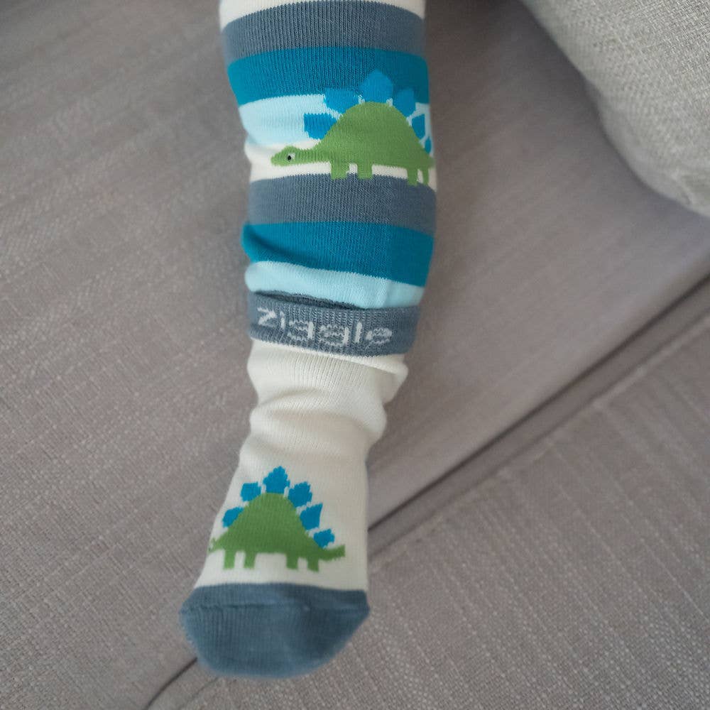 Ziggle Baby - Dinosaur Boxed Sock Set: 0-6 Months