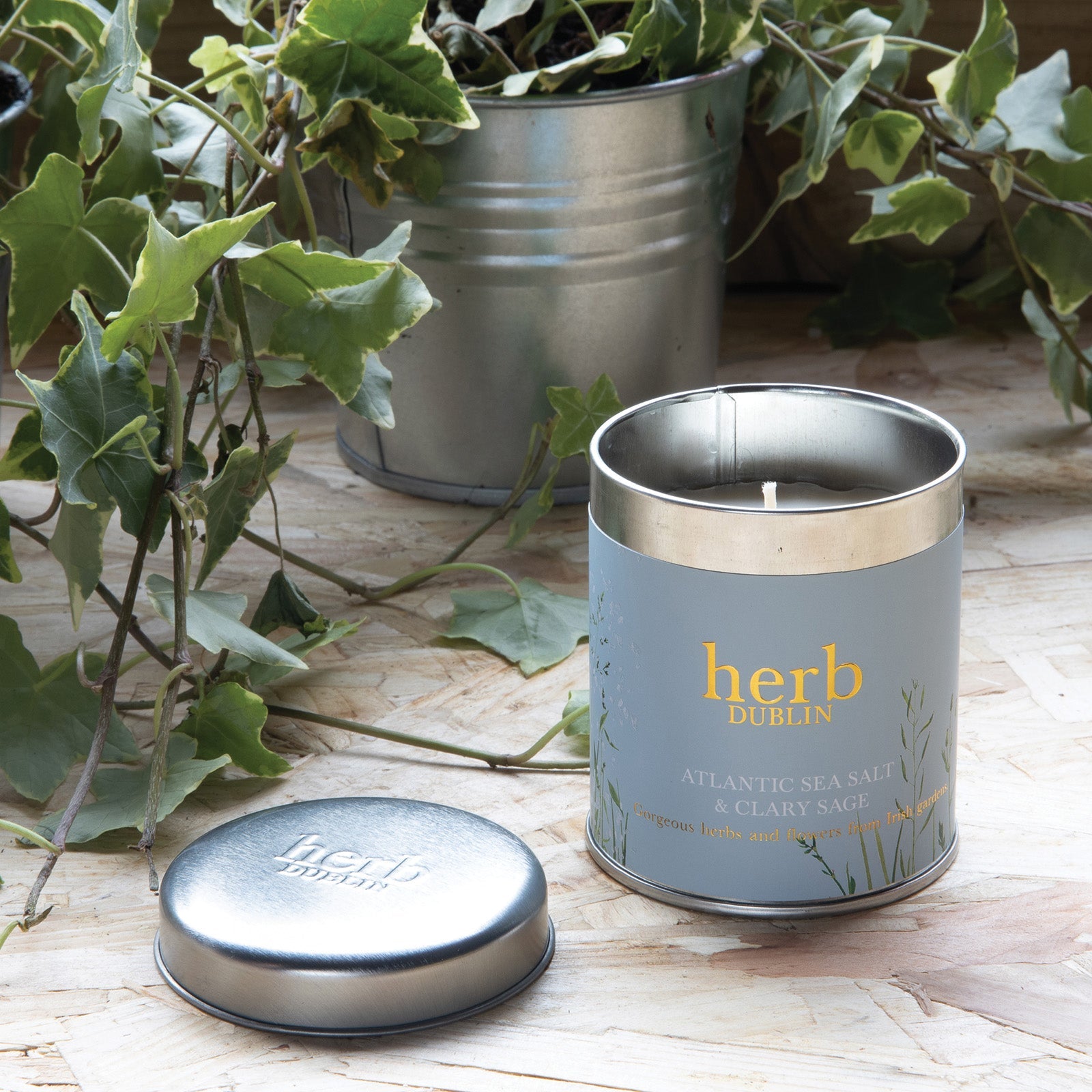 Herb Dublin Atlantic Seasalt- Tin Candle