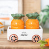 Carrot Salt & Pepper Shakers