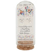 Captured With Love Friendship Earring Jar