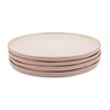 Jamie Oliver Big Love Everything Plate - Set of 4