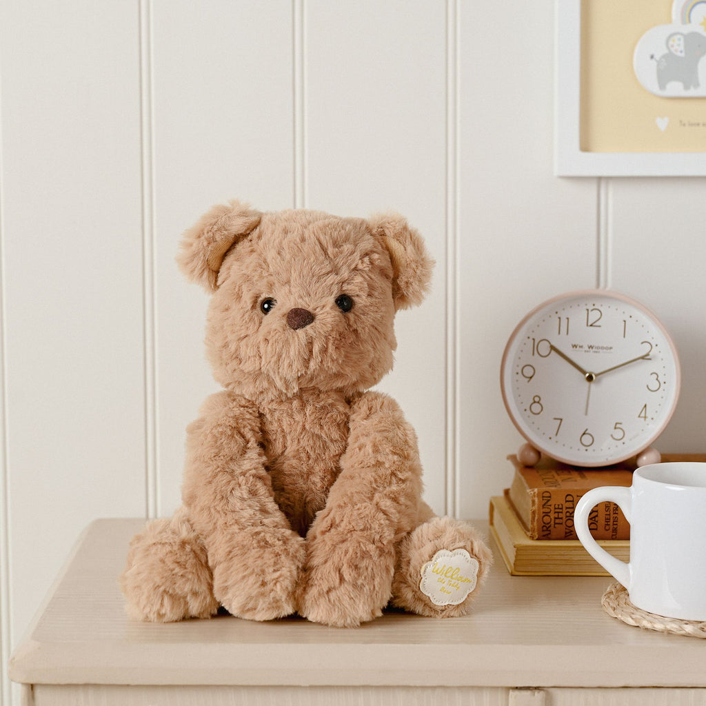 William The Teddy Bear 22cm – More Than Just a Gift Narborough - Main Image