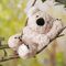 Kingston The Plush Sitting Light Brown Koala Bear 22cm