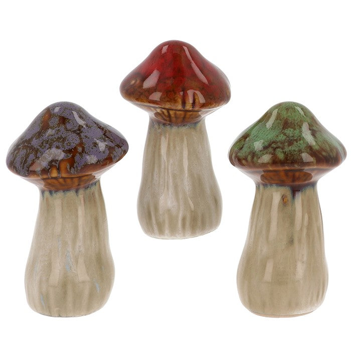 Magical Mushrooms Tall Small |More Than Just A Gift