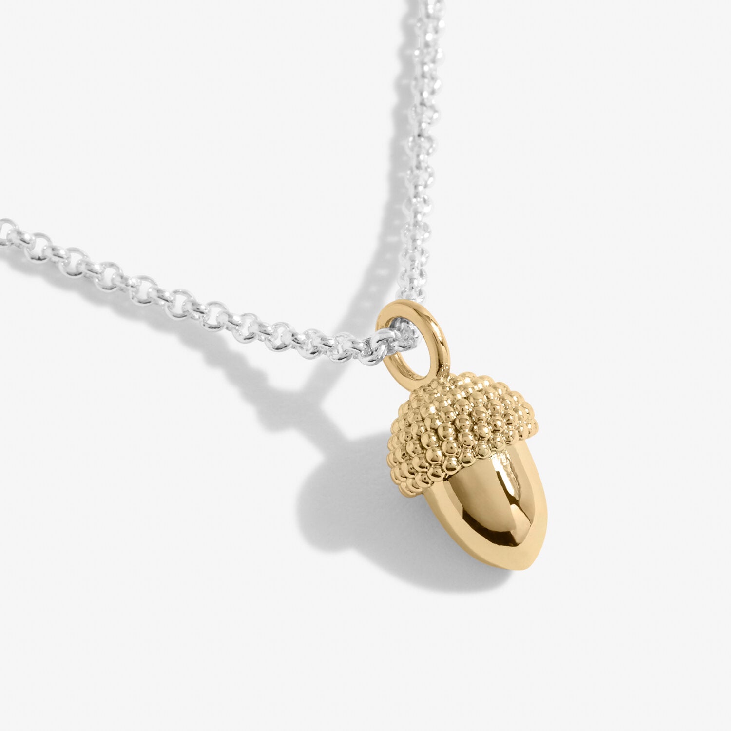 Joma Jewellery A Little Strength Necklace - Acorn