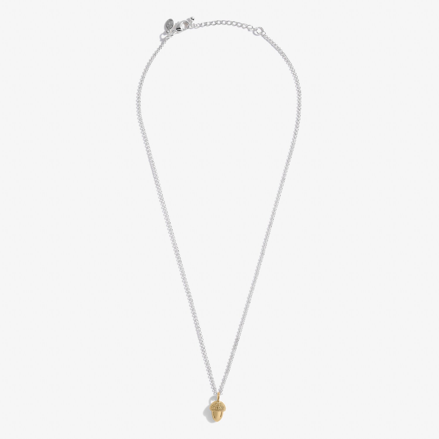 Joma Jewellery A Little Strength Necklace - Acorn