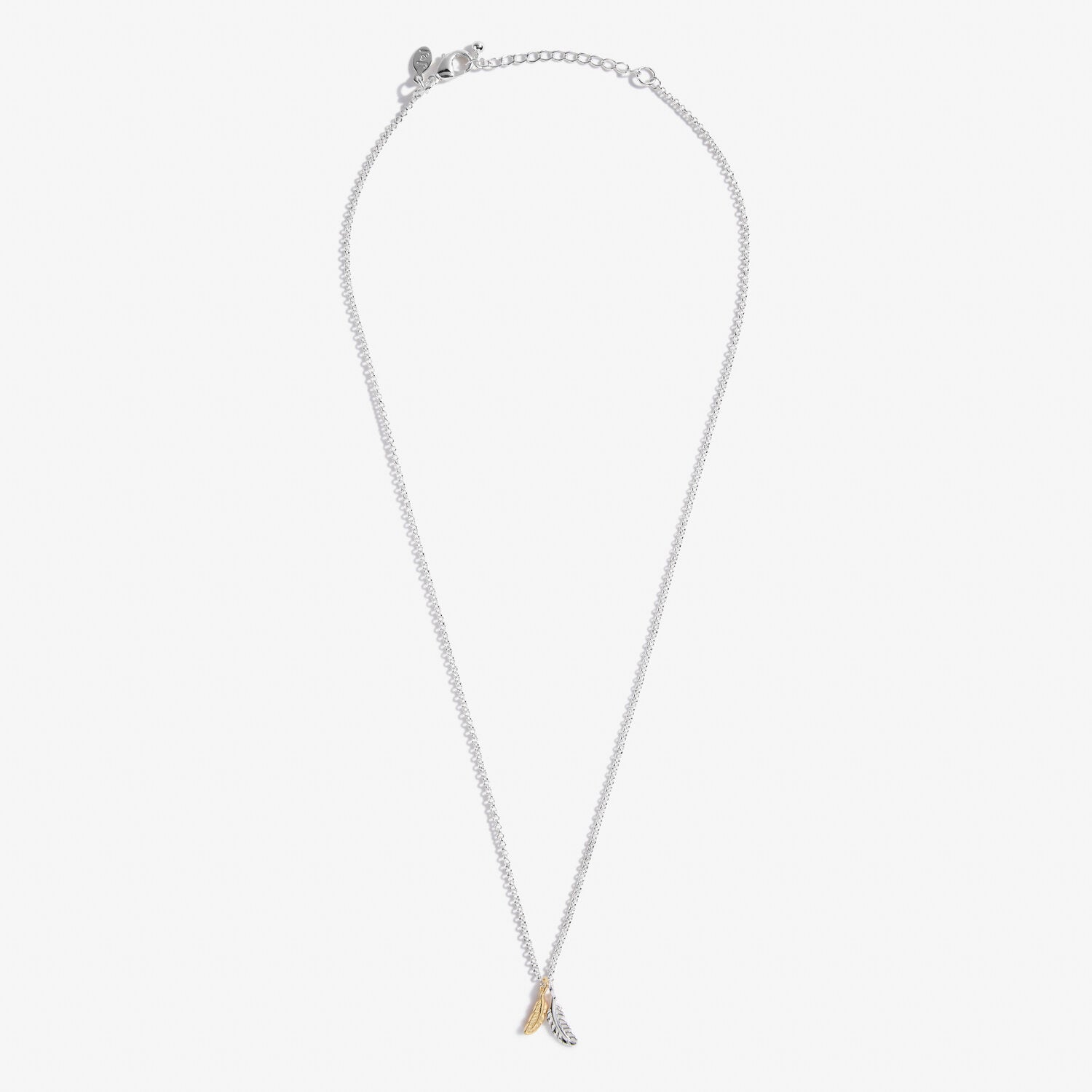 Joma Jewellery A Little Feathers Appear When Loved Ones Are Near Necklace