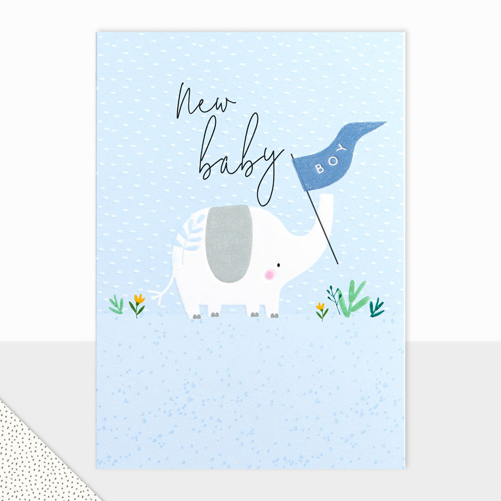Halcyon New Baby Boy Card