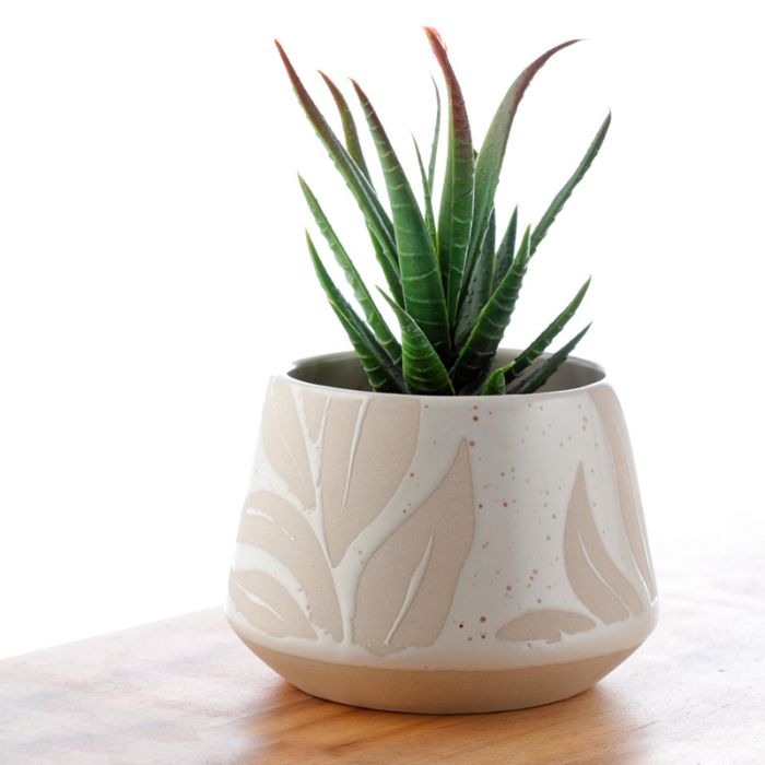 Florens Hesperantha Cream Glaze Relief Stoneware Indoor Plant Pot - Small