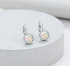 Silver Iridescent Drop Earrings